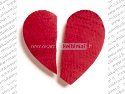 Skyrybos. teisinės paslaugos. turto dalybos