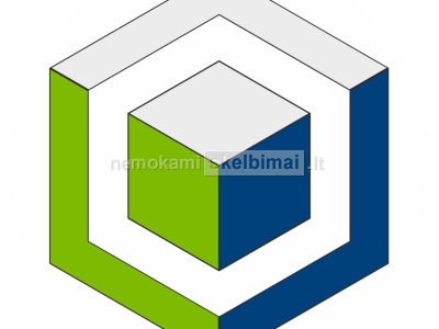 REIKALINGI VAIRUOTOJAI DARBUI AIRIJOJE
