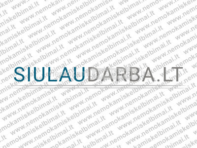 Architektas projektuotojas