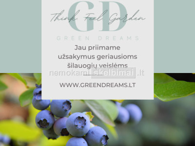 ŠILAUOGIŲ PINK LEMONADE, CHANDLER, ELLIOT, PATRIOT, SPARTAN SODINUKAI INTERNETINĖJE PARDUOTUVĖJE