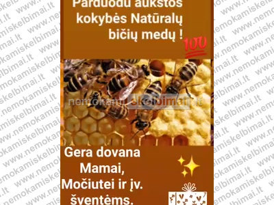 Tikras medus ne tik maistas - bet ir vaistas. V