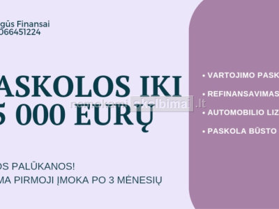 Saugi paskola internetu