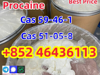 Order Procaine Cas59 - 46 - 1 Procaine Base Online Holland Add 852 46436113