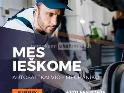 Sunkvežimių ir puspriekabių serviso autošaltkalvis mechanikas Olandijoje