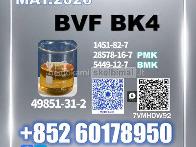BMK PMK 49851 - 31 - 2 source factory