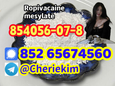 854056 - 07 - 8 Ropivacaine