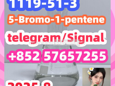 1119 - 51 - 3 5 - Bromo - 1 - pentene
