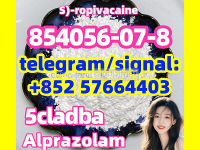 854056 - 07 - 8 S - ropivacaine