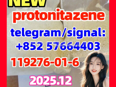 Protonitazene for sale CAS 119276 - 01 - 6 strong opioid powder