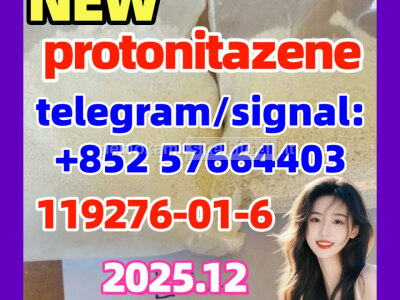 High quality cas 119276 - 01 - 6 Protonitazene hydrochloride in store