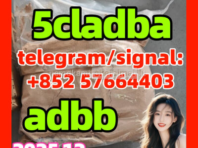 China supplier 5cladba raw material 5CLADBA precursor noids, 5fadb