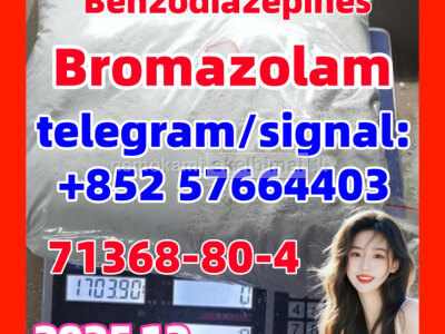 Bromazolam 71368 - 80 - 4 Etizolam
