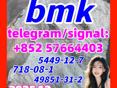 BMK Glycidic Acid sodium salt CAS 5449 - 12 - 7 - China