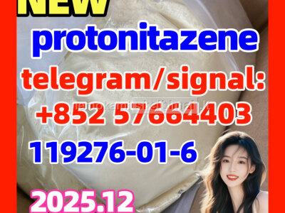 Cas 119276 - 01 - 6 Protonitazene Hydrochloride Seller China