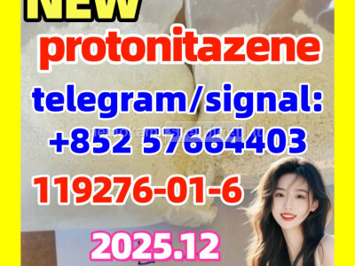 High Quality Protonitazene CAS 119276 - 01 - 6 by Hebei
