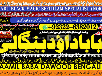 love problem solution specialist online love problem solution love marriage specialist A1