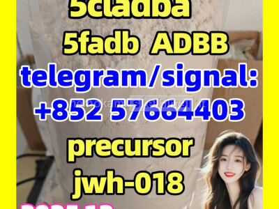 5cladba adbb raw material 5CL - ADB - A precursor raw 5cladba 5f adb 4fadb
