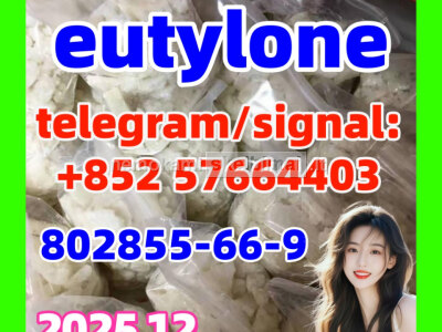 EU EUTYLONE high quality 802855 - 66 - 9