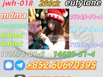 Safe delivery CAS 119276 01 6 China Factory