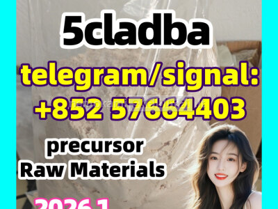 Strong 5cladba raw materials 5CL - ADB precursor