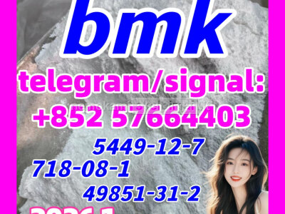 CAS 5449 - 12 - 7 BMK Glycidic Acid sodium salt 99. 9 Purity