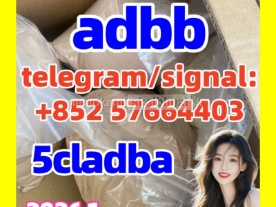 Raw material 5cladba best cannabinoid 5cladba 5fadb adbb 5CL - ADB precursor