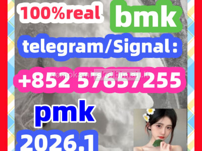 BMK Glycidic Acid sodium salt CAS 5449 - 12 - 7