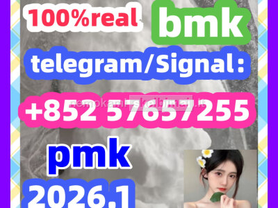 BMK Glycidic Acid sodium salt CAS 5449 - 12 - 7