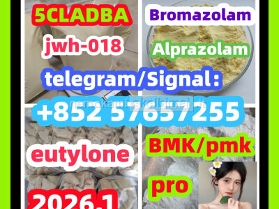 protonitazene 119276 - 01 - 6