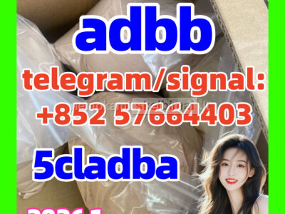 High quality 5cladba precursor raw 5cl - adb - a raw material in stock