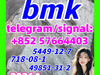 CAS 5449 - 12 - 7 BMK Glycidic Acid - bmk powder - factory supply