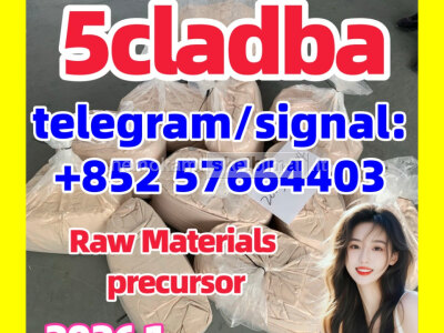 5cladba precursor 5cl - adb - a fast delivery