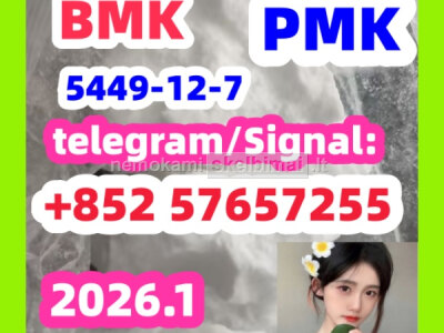 BMK Glycidic Acid sodium salt CAS 5449 - 12 - 7