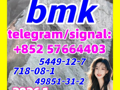 CAS 5449 - 12 - 7 Best Selling BMK Glycidic Acid sodium salt