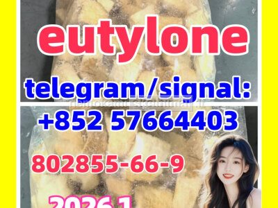 EU EUTYLONE high quality 802855 - 66 - 9