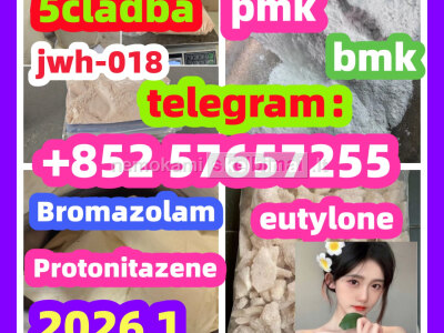 BMK Glycidic Acid sodium salt CAS 5449 - 12 - 7