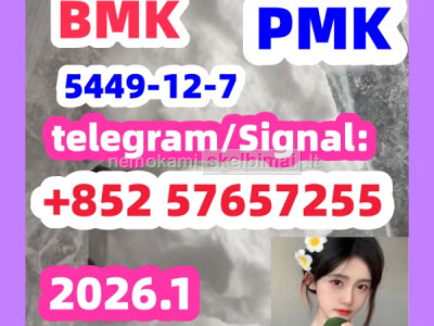 BMK Glycidic Acid sodium salt CAS 5449 - 12 - 7