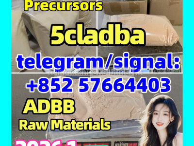 5cladba raw material 5CL - ADB - A precursor raw