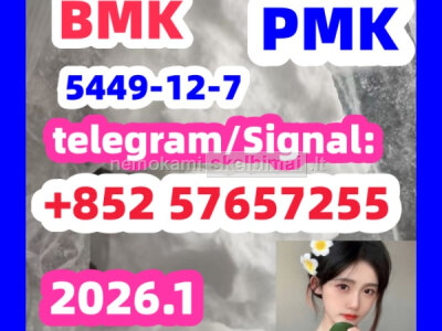 BMK pmkGlycidic Acid sodium salt CAS 5449 - 12 - 7