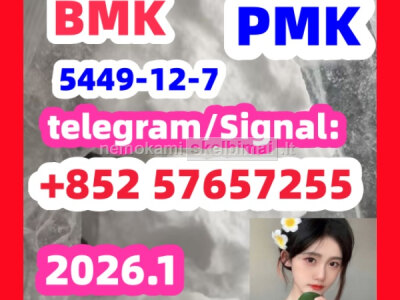 BMK pmk Glycidic Acid sodium salt CAS 5449 - 12 - 7