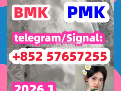 BMK BMK BMK pmkpmk Glycidic Acid sodium salt CAS 5449 - 12 - 7