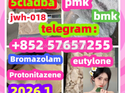 BMK Glycidic Acid sodium salt CAS 5449 - 12 - 7