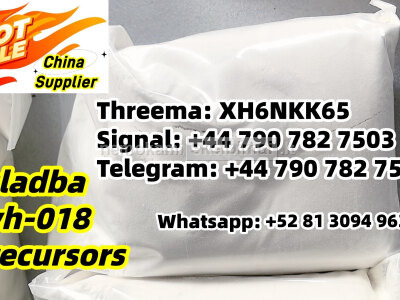 SC 5cladb ADBB 5FADB synthetic K2 kush MDMB - 5Br - INACA JWH - 073 K9 spice precursor EDMB - PINACA mamba