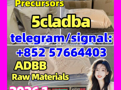5cl - adb Powder 5cl Adb 5cl 5cladba 5cl Raw Materials cas 137350 - 66 - 4