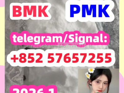 BMK Glycidic Acid sodium salt CAS 5449 - 12 - 7