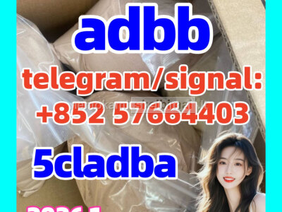 5cladba raw material 5CL - ADB - A precursor raw 5cladba 5f adb