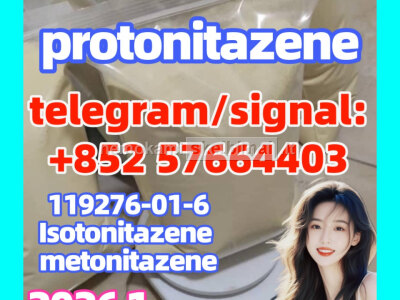 Protonitazene hydrochloride Pronitazene, CAS Number 119276 - 01 - 6