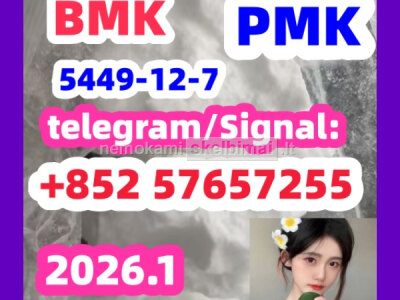 99 Purity Methylamine Hydrochloride Cas 593 - 51 - 1 BMK pmkGlycidic Acid sodium salt CAS 5449 - 12 - 7