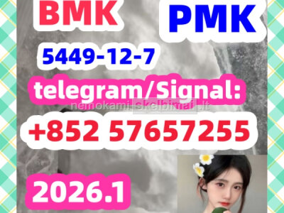 BMK Glycidic Acid sodium salt CAS 5449 - 12 - 7