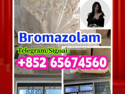 Bromazolam 71368 - 80 - 4
